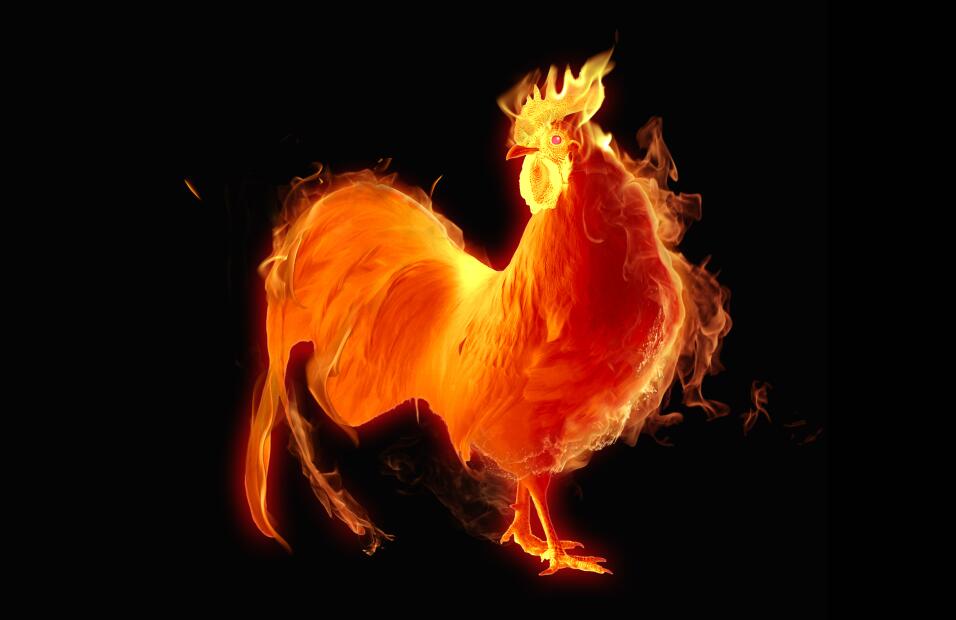 Aries – Friday 27 January 2017: predicts a happy moment to your ... - Univision 1 Año del Gallo de Fuego