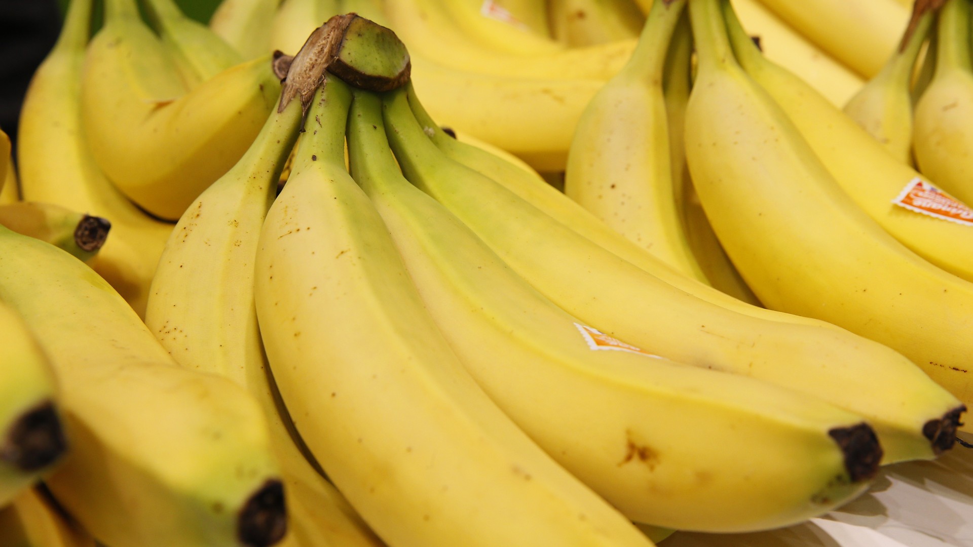 Conozca y aproveche los beneficios del plátano o banana para su salud