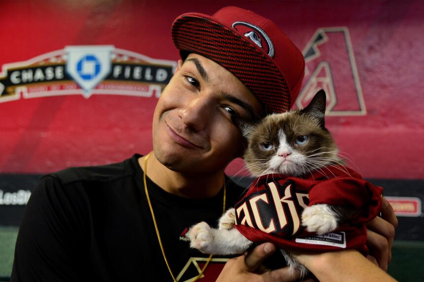 ¡El “Grumpy Cat” invitado especial de los Diamondbacks!