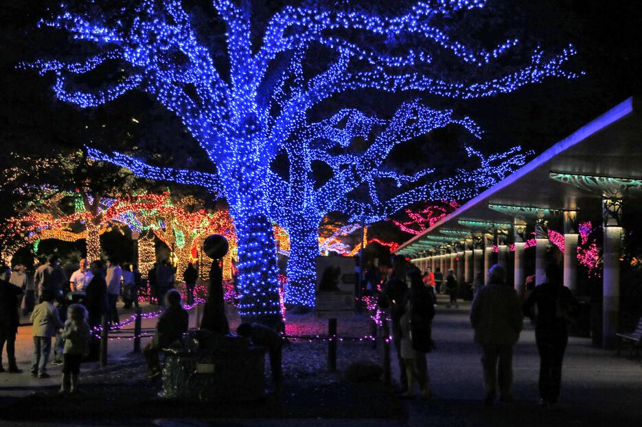 La magia de las luces de navidad en el zoológico de Houston