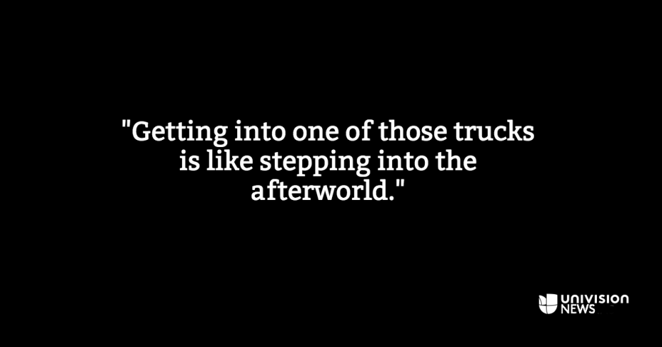 Memories from the back of a truck: here's how immigrants remember the jo...