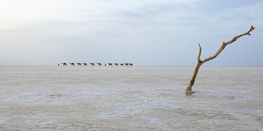 9 instantes de la naturaleza que compiten en concurso mundial de foto 21...