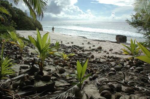 En fotos: Esta paradisíaca isla está cubierta por 37 millones de piezas...