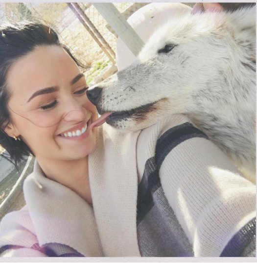 demi