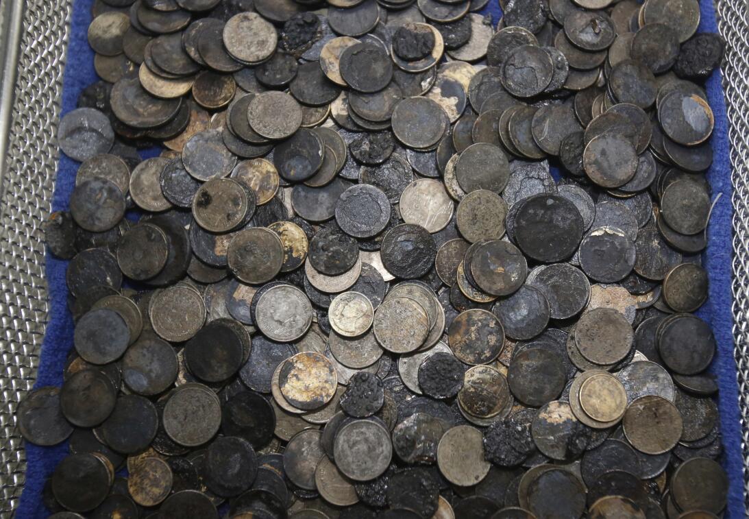 En fotos: la tortuga marina verde a la que le extrajeron 915 monedas del...