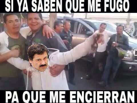 Chapo memes 2015