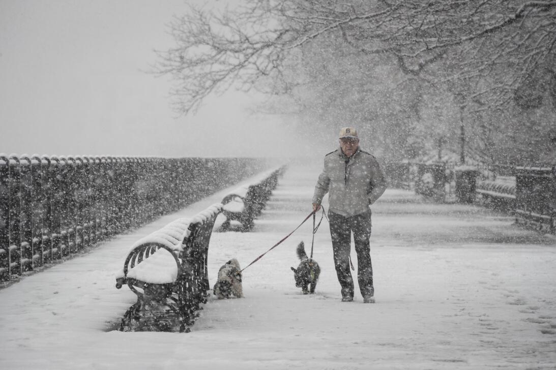 Nueva York padece su quinta tormenta de nieve en un mes, algo que no es...