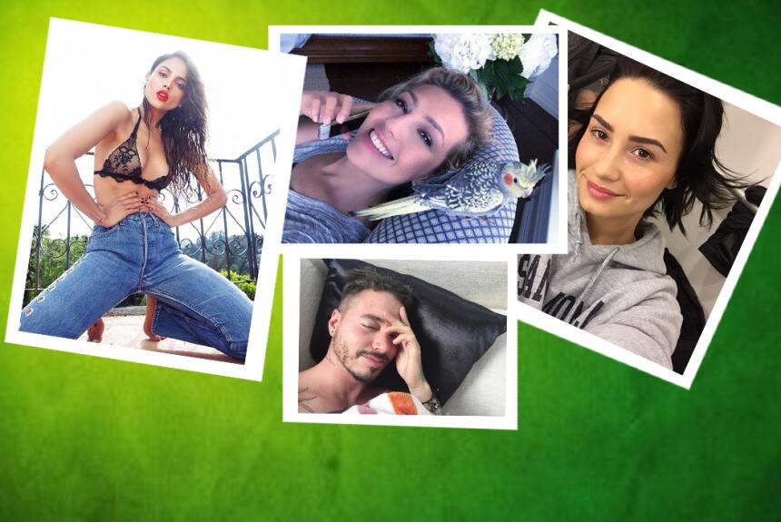 Las 'tuitpics' de la semana