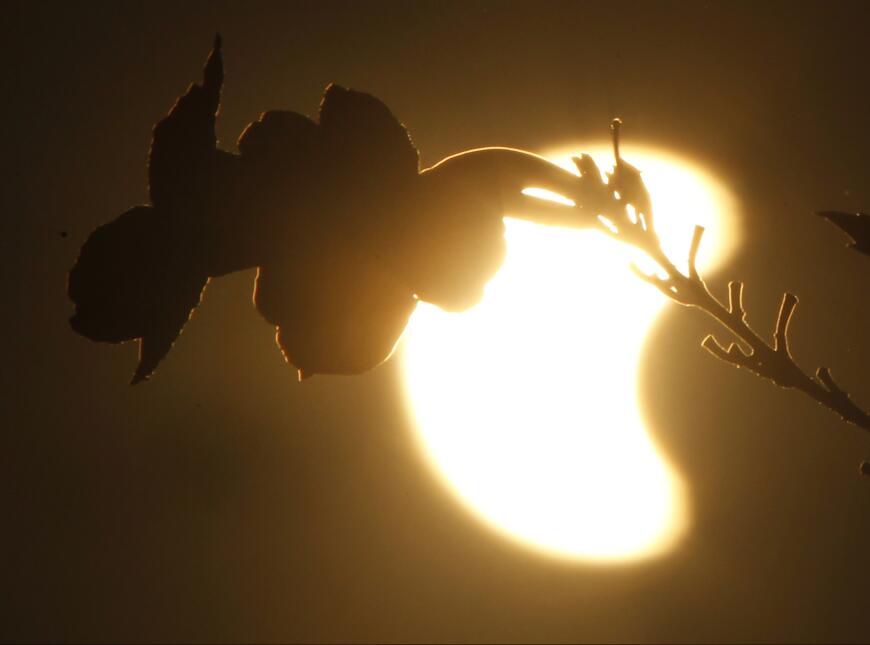 Eclipse total de sol 8 de marzo