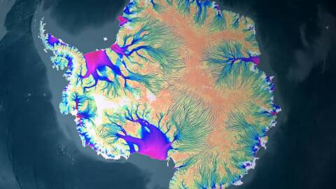 Noticias Univision | Noticias que son tendencia en el mundo | Univision