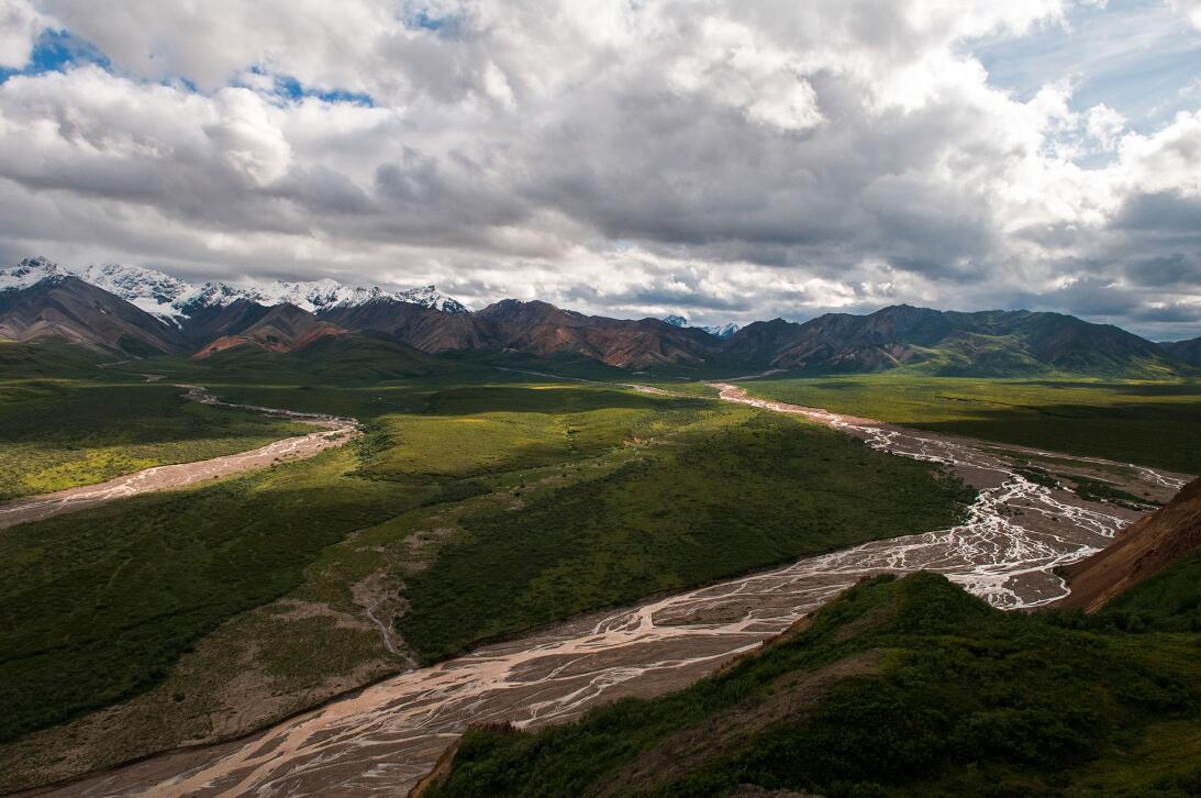Denali National Park