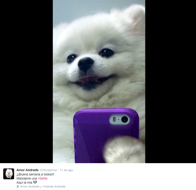 Selfies de Amor Andrade