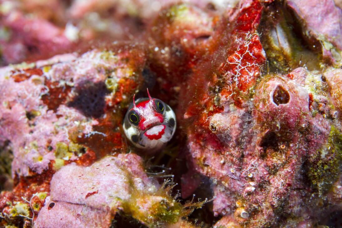 14 fotos espectaculares de uno de los sitios más prístinos del planeta a...
