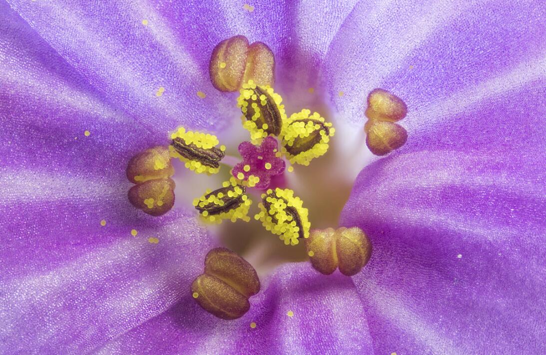International Images for Science 2016
